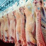 Faturamento com exportação de carne bovina sobe 14% em janeiro, diz Abrafrigo